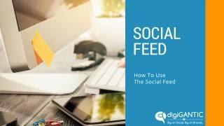 How to use the Social Feed