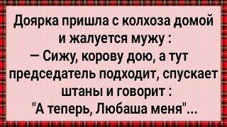 Как Доярка в Колхозе Председателя Доила! Сборник Свежих Анекдотов! Юмор!