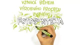 Co je to fotosyntéza? – NEZkreslená věda II