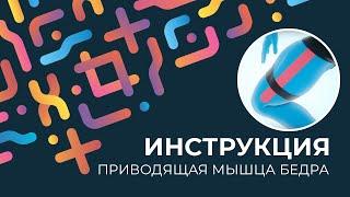 Kinexib - тейпирование приводящей мышцы бедра