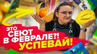 ЧТО СЕЯТЬ В ФЕВРАЛЕ? КОГДА СЕЯТЬ ТОМАТЫ, ПЕРЦЫ, БАКЛАЖАНЫ?