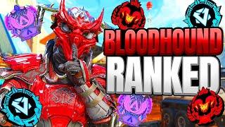 High Level Bloodhound Ranked Gameplay - Apex Legends