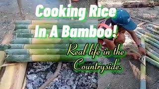 Cooking Rice In A Bamboo,Real Life In The Countryside.