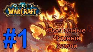 #1 Река Тондрорил; Ступени Смерти - Восточные Чумные земли [World of Warcraft]