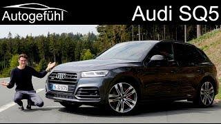 Audi SQ5 FULL REVIEW 2020 - Autogefühl