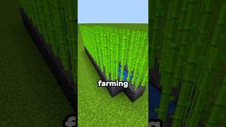 Minecraft Sugarcane Farm 