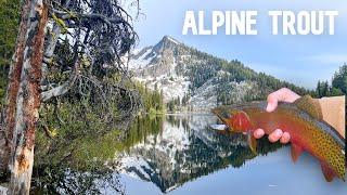 72 Hours in Idaho’s Backcountry — Fly Fishing for Alpine Cutthroat