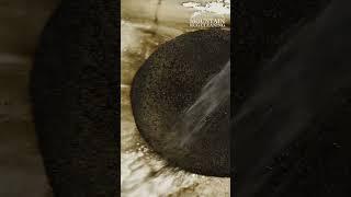 Watch as This Small White Rug Gets Deep Cleaned - Is That Chocolate Milk Coming Off It? #shorts