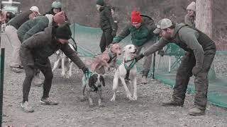 Cinematic Dog Racing 17: Allatoona Dryland Sled Dog Challenge 2025