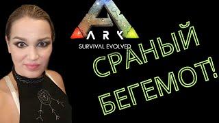 Сраный бегемот! - Pugnacia Dinos - Ark Survival Evolved