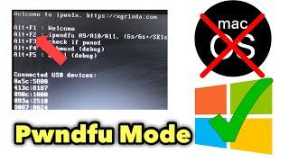 Enter Pwndfu Mode without macOS | pwndfu in windows |