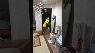 мистика какая-то #спрутельник