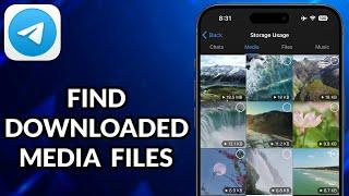 How To See Telegram Downloaded Videos In iPhone