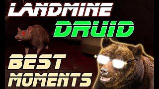 Landmine Druid END OF WIPE BEST MOMENTS : Dark and Darker