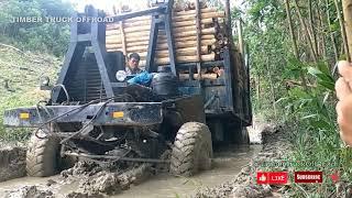 Off Road Warriors Trucks Facing the Toughest Trails #loggingtruck #extremeoffroading #heavyhauling