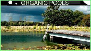 Creating a Massive Organic Pool in 4 minutes