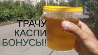 ПОКУПАЮ ПРОДУКТЫ НА КАСПИ БОНУСЫ!