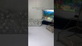 only fish!  #asmr #fidgets #unboxing #mysteryscoop #smallbusiness #haul