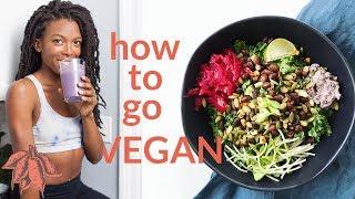 Beginner's Guide to Going VEGAN 