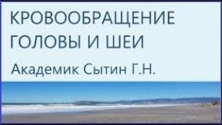 Кровообращение головы и шеи  Настрои академика Сытина Г.Н.