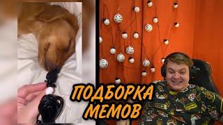 Пятёрка смотрит "UNUSUAL MEMES COMPILATION V119" / нарезка ФУГА ТВ