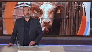 GLD Nieuws 29 maart 2019 - Vrijdag 29 maart