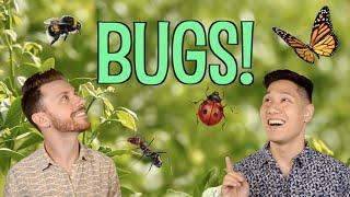 Davey K and Peter go bug catching ["Bugs!" Official Music Video]