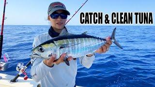 CATCH & CLEAN TUNA  How to catch Blackfin Tuna | Gale Force Twins