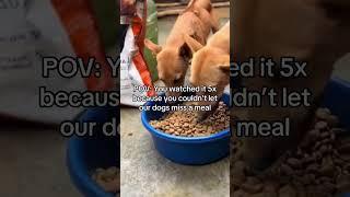 Hope people keep helping #dogs #pets #america#canada #sad #love #care #funny #cute #live #animals