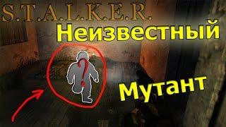 S.T.A.L.K.E.R. Lost Alpha - ШОК!!! НЕИЗВЕСТНЫЙ МУТАНТ, КАТАКОМБЫ НА КОРДОНЕ!!!!!!!