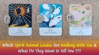 Which Spirit Animal Guides Are Walking With You & What Do They Want To Tell You 