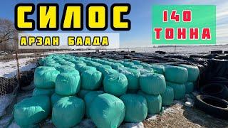 140 тонна СИЛОС сатылат  АРЗАН БААДА  Бишкекте