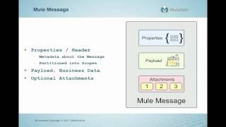 Understanding the Mule Message