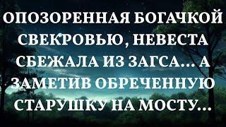 Опозоренная богачкой свекровью, невеста сбежала из ЗАГСа… А заметив обреченную старушку на мосту…