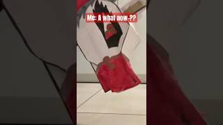 A what now-?? #hazbinhotel #paperdragons #dragon #dragons #paperdragon #paper #art #funny