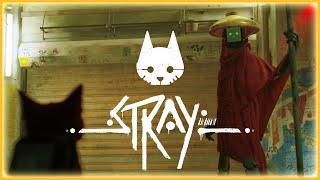 02 Stray PC Gameplay Max Settings, Full Playthrough with Cute Cats in a Cyberpunk Underworld City