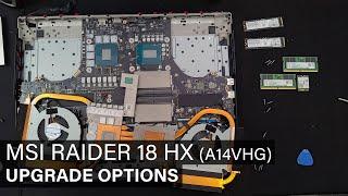 MSI Raider 18 HX A14VHG - DISASSEMBLY AND UPGRADE OPTIONS