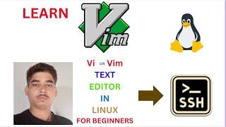 Learn How to Use the Vim Text Editor in Linux with examples!