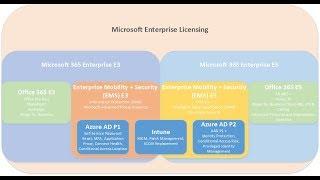 Microsoft 365 E3 and E5 Licensing