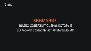 Хакеры взломали камеры наблюдения в тюрьме в Тегеране