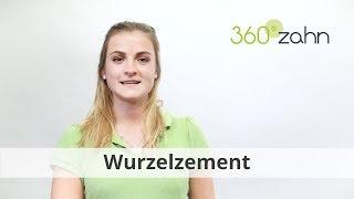 Wurzelzement - Was ist Wurzelzement? | Dental-Lexikon | 360°zahn