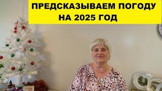 ПРЕДСКАЗЫВАЕМ ПОГОДУ НА 2025 ГОД..ВСПОМНИЛА ПРО ПЛАЩ-БОЛОНЬЮ