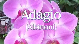 Adagio (Tomaso Albinoni) | Instrumental Piano