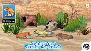 My leopard gecko - Android Gameplay