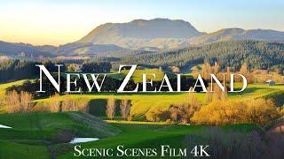 New Zealand In 4K - Land Of The Diverse Natural Beauty | Scenic Relaxation Film