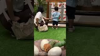 #dinoplay