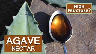 Agave Nectar, Is It Like High Fructose Corn Syrup?