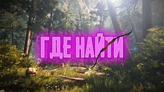 ГДЕ ЖЕ НАЙТИ СОВРЕМЕННЫЙ ЛУК | THE FOREST |