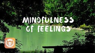 Mindfulness of Feelings | Brother Phap Linh