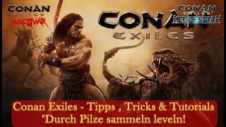 Conan Exiles - Tipps , Tricks & Tutorials - "Durch Pilze sammeln leveln!